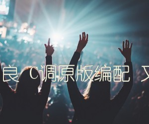 《往后余生 马良 C调原版编配 又又吉他编制吉他谱》_群星_C调_吉他图片谱1张