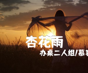 《杏花雨吉他谱》_办桌二人组/慕容晓晓_C调 图片谱2张