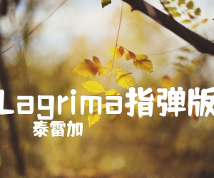 《Lagrima指弹版吉他谱》_泰雷加 图片谱2张