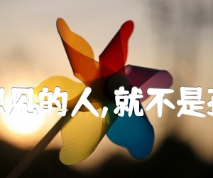 《只要有想见的人,就不是孤身一人吉他谱》_王源__C调图片谱完整版_C调 图片谱5张