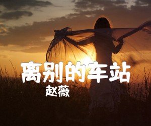 《离别的车站吉他谱》_赵薇__图片谱完整版_吉他图片谱7张