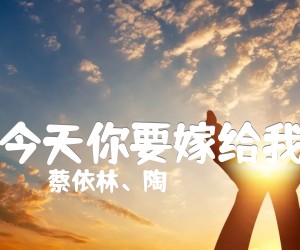 《今天你要嫁给我吉他谱》_蔡依林、陶喆_指弹 图片谱2张