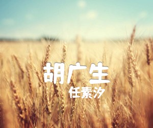 《胡广生吉他谱》_任素汐__C调图片谱完整版_C调 图片谱4张