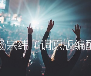 《其实都没有 杨宗纬 G调原版编配（音乐乐器）吉他谱》_群星_G调 图片谱1张