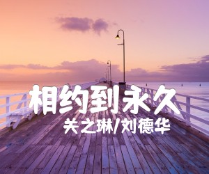 《相约到永久吉他谱》_关之琳/刘德华_C调 图片谱2张