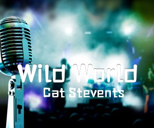 《Wild World吉他谱》_Cat Stevents_未知调 图片谱2张