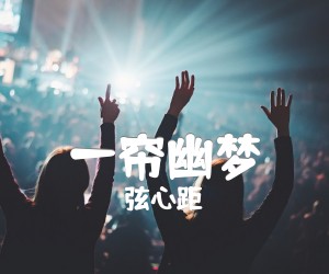 《一帘幽梦吉他谱》_弦心距 图片谱3张