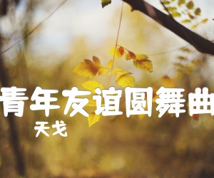 《青年友谊圆舞曲吉他谱》_天戈_C调 图片谱1张