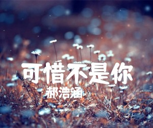 《可惜不是你吉他谱》_郝浩涵_弹唱版_C调 图片谱6张