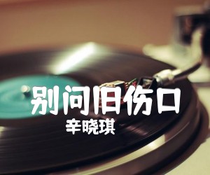 《别问旧伤口吉他谱》_辛晓琪_吉他图片谱1张