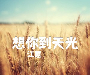 《想你到天光吉他谱》_江蕙_C调 图片谱1张