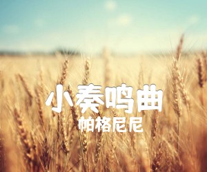 《小奏鸣曲吉他谱》_帕格尼尼 图片谱1张