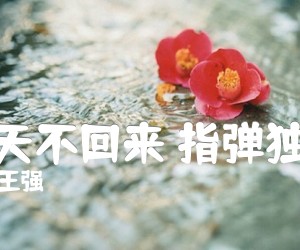 《秋天不回来 指弹独奏吉他谱》_王强_G调 图片谱1张