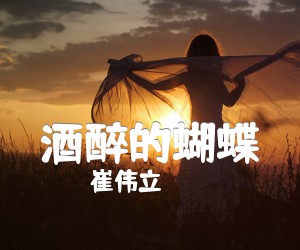 《酒醉的蝴蝶吉他谱》_崔伟立_G调 图片谱2张