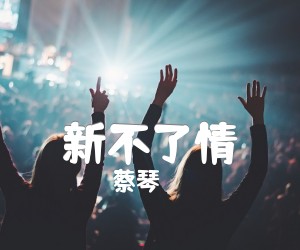 《新不了情吉他谱》_蔡琴_文字谱