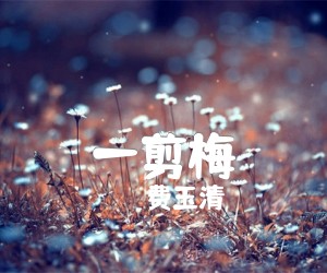 《一剪梅吉他谱》_费玉清_G调 图片谱4张