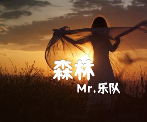 《森林吉他谱》_Mr.乐队_C调 图片谱1张