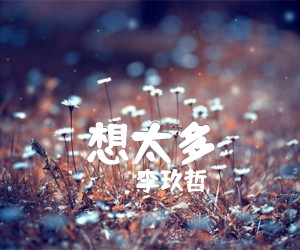 《想太多吉他谱》_李玖哲__图片谱完整版 图片谱4张