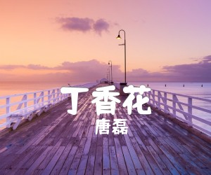 《丁香花吉他谱》_唐磊_G调_吉他图片谱2张