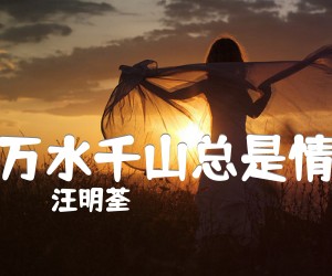 《万水千山总是情吉他谱》_汪明荃_C调 图片谱2张