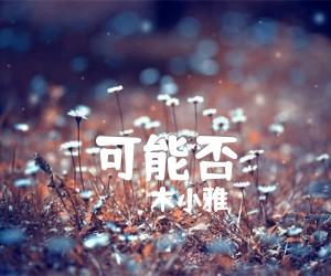 《可能否吉他谱》_木小雅_C调 图片谱2张