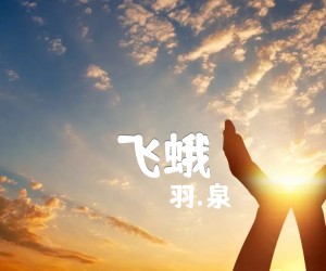 《飞蛾吉他谱》_羽.泉_G调_吉他图片谱1张