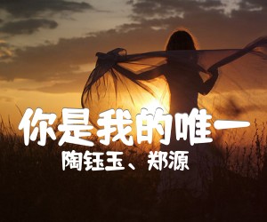 《你是我的唯一吉他谱》_陶钰玉、郑源_C调 图片谱4张