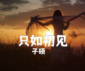 《只如初见吉他谱》_子硕_C调_吉他图片谱4张