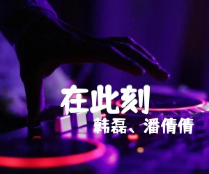 《在此刻吉他谱》_韩磊_独奏 图片谱3张