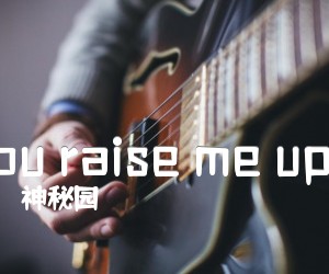 《you raise me upD吉他谱》_神秘园_D调 图片谱3张