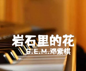 《岩石里的花吉他谱》_G.E.M.邓紫棋_吉他图片谱1张