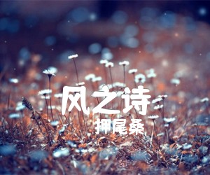 《风之诗吉他谱》_押尾桑_C调 图片谱2张