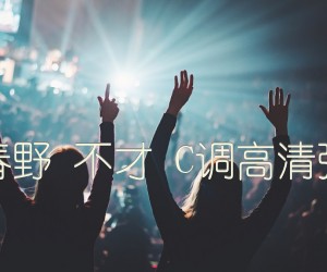 《花枝春野 不才 C调高清弹唱谱吉他谱》_群星_C调 图片谱1张