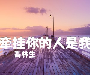 《牵挂你的人是我吉他谱》_高林生_吉他图片谱1张