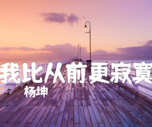 《我比从前更寂寞吉他谱》_杨坤_G调 图片谱2张