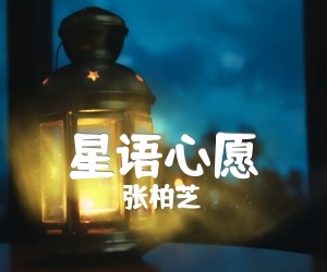 《星语心愿吉他谱》_张柏芝_G调 图片谱2张