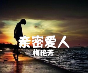 《亲密爱人吉他谱》_梅艳芳 图片谱3张