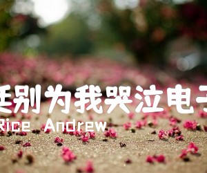 《阿根廷别为我哭泣电子琴谱吉他谱》_Tim  Rice   Andrew 图片谱1张