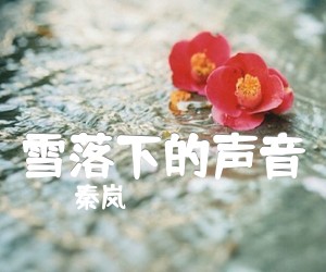 《雪落下的声音吉他谱》_秦岚 图片谱4张