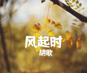 《风起时吉他谱》_胡歌 文字谱