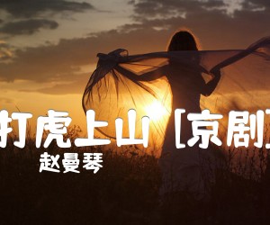 《打虎上山  [京剧]吉他谱》_赵曼琴 图片谱1张