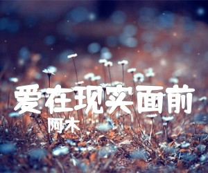 《爱在现实面前吉他谱》_阿木_T调 图片谱1张