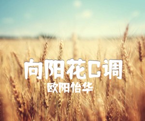 《向阳花C调吉他谱》_欧阳怡华_谢天笑_图片谱高清版好听_C调 图片谱2张