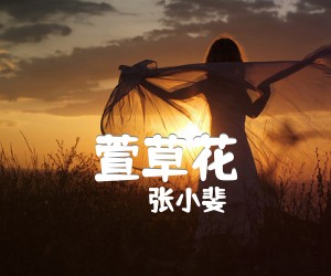 《萱草花吉他谱》_张小斐_C调 图片谱2张