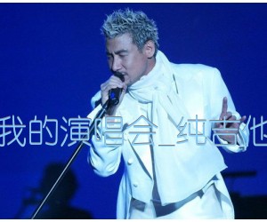 《他来听我的演唱会吉他谱》_张学友_纯吉他演奏版_G调 图片谱4张