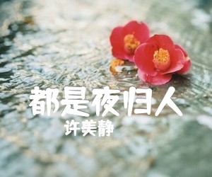 《都是夜归人吉他谱》_许美静_G调 图片谱1张