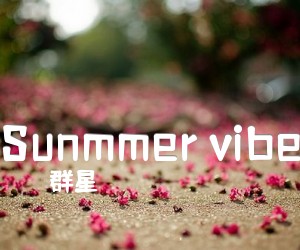 《Sunmmer vibe》