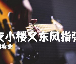 《昨夜小楼又东风指弹谱吉他谱》_独奏曲 图片谱2张