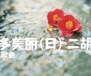 《世界多美丽(日) 二胡曲谱吉他谱》_日本歌曲 图片谱1张