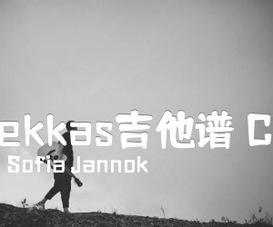 《Liekkas吉他谱 C调吉他谱》_Sofia Jannok_C调 文字谱